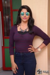 Actress Kruthika Jayakumar at Rojulu Marayi Movie Song Launch.